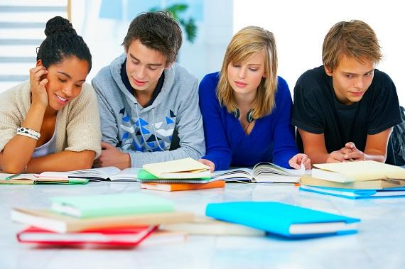 Veja Como Fazer Cursos Gratuitos No Gov BR Com Certificado